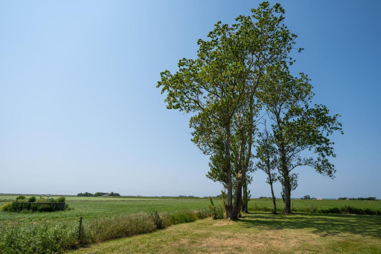 Johanneshoeve - De Mooiste Plek Op Texel デン・ホールン エクステリア 写真